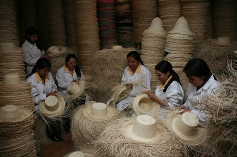 Making panama hats.jpg