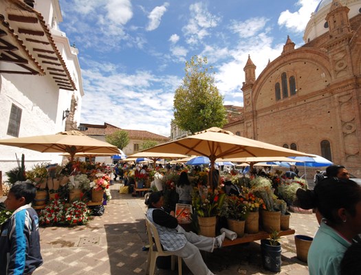 flower market cuenca.jpg