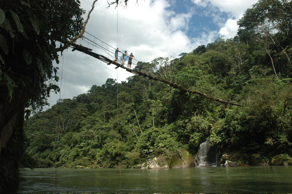 suspended bridge.jpg